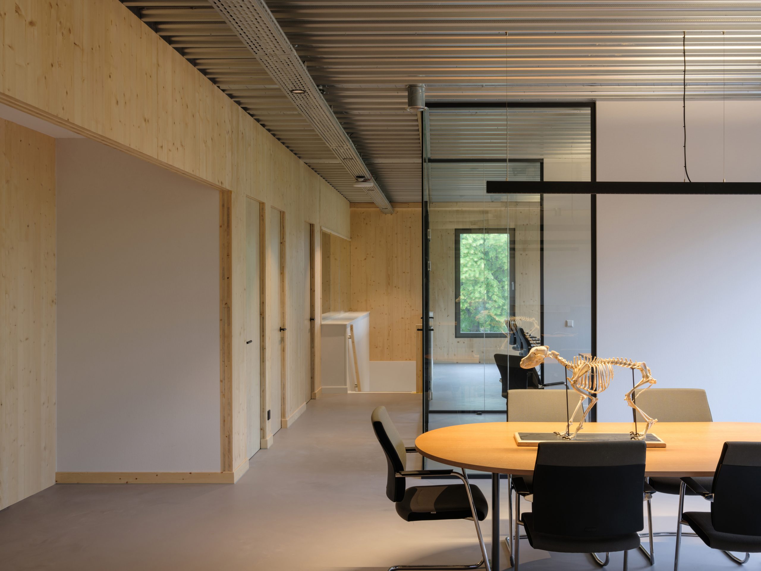 Office workspace overview with social space black kitchen and CLT wood walls view. Veterinary clinic design for Anicure ‘t Leidse Land in Leiderdorp, designed and built by MOST Architecture, Rotterdam
